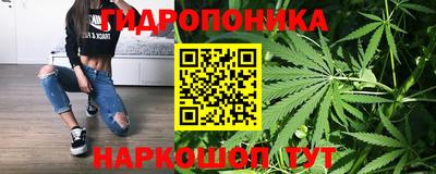 индика Свободный